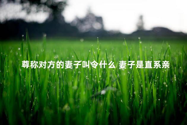 尊称对方的妻子叫令什么 妻子是直系亲属吗